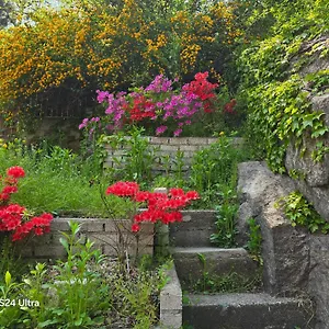 Seochon Secret Cave House 펜션